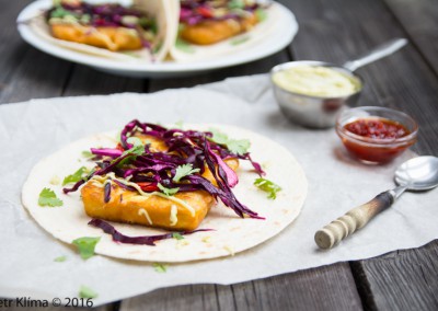 TOFU v CIDER těstíčku v tortille s avokádovým dipem